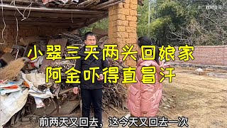 小翠三天两头要回娘家，阿金担心她向丈母娘告状，大热天冒冷汗