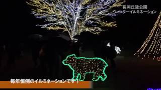 長岡丘陵公園ウィンターイルミネーション2016