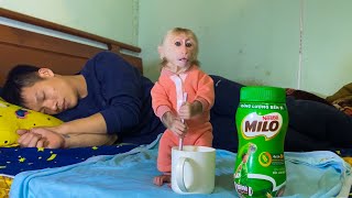 Baby Monkey NANA is so smart, she makes her own milk to drink