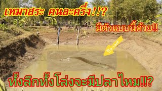 #เหมาสระ #คนละครึ่ง อึ้ง!!กันทั้งบ่อไม่คิดว่าจะมีตัวนี้ด้วย!?