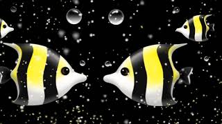 fish effect video background // fish eye effect video || black screen effect background - 2021