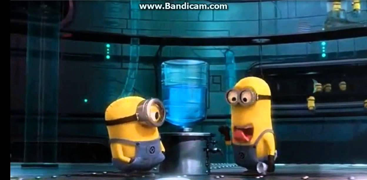 Minions Funny Scenes