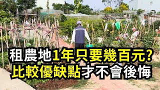 買農地或租農地？比較優缺點避免後悔 | 阿星種植