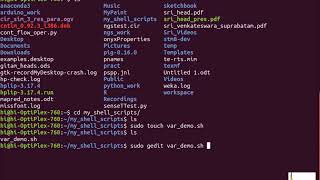 Programming in Linux Shell 1: Variables & Values