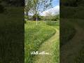 Walking Through an English Wildflower Meadow in Spring