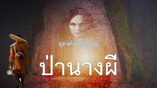 ๒๐.ป่านางผี..ธุดงค์ป่ารัฐฉาน