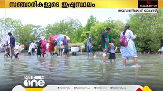 കിടിലൻ സ്ഥലമാണ്.. കുറച്ചുകൂടി വൃത്തിയായി സൂക്ഷിക്കണം; സാമ്പ്രാണിക്കോടിയിലെ സഞ്ചാരികൾക്ക് പറയാനുണ്ട്.