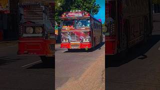 🔴 මායා කිරිල්ලී 🥵🥀 | සංඛපාල දී | NB - 7429 ⛔️ #onthewayasitha #trending #trend #bus