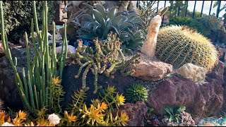 It's Walkabout Wednesday | March Succulent Garden Tour