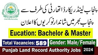 Punjab Land Record Authority Jobs 2024 Online Application