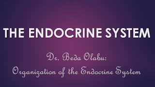 ENDOCRINE SYSTEM PART II - PINEAL, THYROID, PARATHYROID, ADRENAL GLANDS