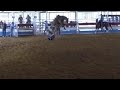 saddle bronc sankey rodeo school dec 20 2015