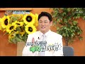 발효로 흡수율 높인 뇌혈관 지킴이 『홍국균 발효 구기자』 tv chosun 20220904 방송 알맹이 193회 tv조선