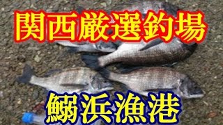 【釣り場情報】 関西の海釣り 鰯浜漁港 魚影が豊富なポイント チヌが濃厚 サビキでは五目釣りが楽しめる♪秋にはタチウオの数釣りも♪