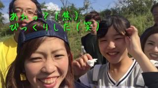 おどり屋 笑颱  肉フェスYONAGO2016 in ☆やっtube☆