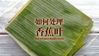 How to Prepare Banana Leaves | 如何处理香蕉叶