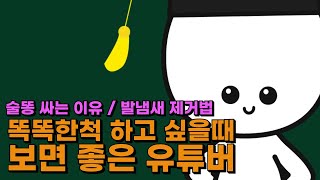 일상 궁금증 해결해주는 유튜버 ㅣ 사물궁이 잡학지식