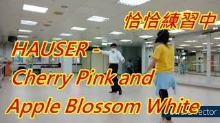 HAUSER - Cherry Pink and Apple Blossom White館前救國團恰恰練習