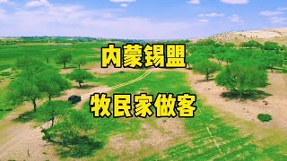 五十公里做邻居，一百公里串个门。 实拍在内蒙古大草原里去邻居家串个门是一种什么体验#旅行推荐官 #草原旅游景点推荐 #内蒙古旅游 #内蒙古大草原 #countrydrive致青春