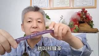 3个妙招挑选真皮纯牛皮腰带非常实用，以后买皮具不怕吃亏上当了