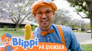 Blippi Svenska | Blippi gör fruktisglass | pedagogiska videor för barn