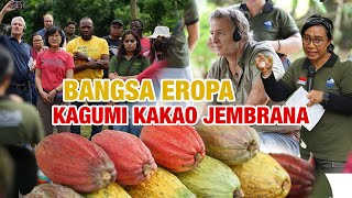 MEMBANGGAKAN!! BANGSA EROPA KAGUMI PETANI KAKAO JEMBRANA