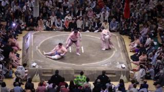 【４K】照ノ富士−碧山/2015.24/terunofuji-aoiyama/day11 #sumo