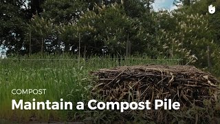 How to maintain a compost pile