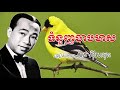 Tomnounh Chab Meas - Sin Sisamuth Old Song - ទំនួញចាបមាស ស៊ិន ស៊ីសាមុត