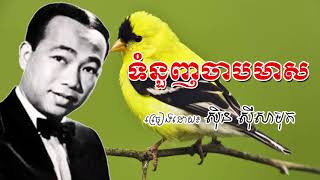 Tomnounh Chab Meas - Sin Sisamuth Old Song - ទំនួញចាបមាស ស៊ិន ស៊ីសាមុត