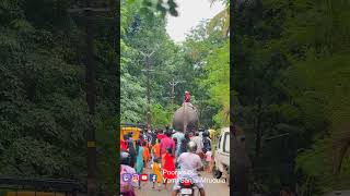 Thechikotte Ramachandran thootha Pooram Kerala