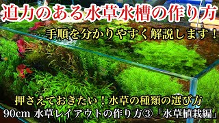 大型水槽の立ち上げ方 完全マニュアル！「９０cm水草水槽の作り方③水草植栽編」ADAネイチャーアクアリウム立ち上げ初心者、水草レイアウト水槽メイキング、水草植え方・エキノドルス、凸型構図、水景デザイン