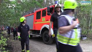 Schwepnitz: Großer Waldbrand beschäftigt Feuerwehr - Ausbreitung ins Moor verhindert