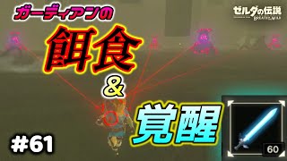 ここは地獄ですか。(ローメイ島）　「ゼルダを全くやったことない男が超人気作ブレス オブ ザ ワイルドをやってみた」 #61