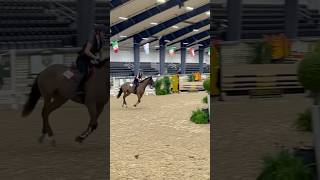 Milo schooling at Wec!!🥰 #younghorsetraining #equestrian #riding #equestriancenter #horselover