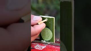 Use To Bamboo For Make a Belt || Bamboo Crafts #Shorts