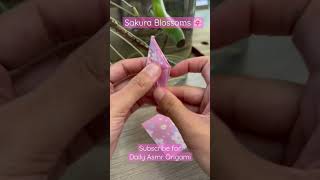 Sakura Blossoms Asmr Origami