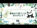 カコちゃんの寝顔【2023年8月30日】【上野動物園】カリフォルニアアシカ