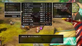 【DQ3リメイク】ヨメ(架空)と2人でいばらの道を歩む　5歩目