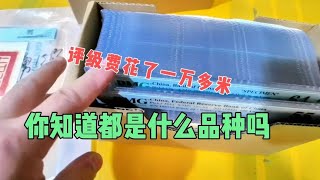 这批钱币评级费就花了一万多米，我们来看看都是什么品种？#分享收藏知识