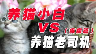 遇到疾病！养猫小白VS养猫老司机