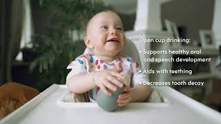 Learn all about the ezpz Tiny Cup