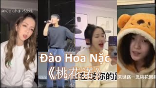 [Douyin Cover] Đào Hoa Nặc《桃花诺》những bản cover mới 2023