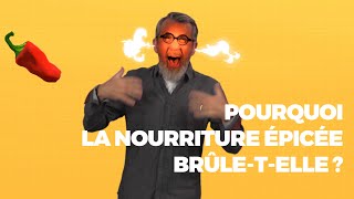 Pourquoi la nourriture épicée brûle-t-elle ? 🌶 - #LaMinuteJamy