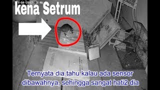 Detik-detik tikus kena setrum listrik..