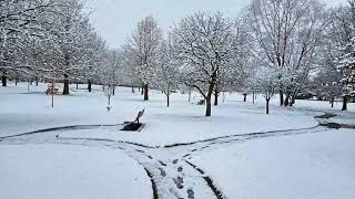 Winter in the Moweaqua Tree Park