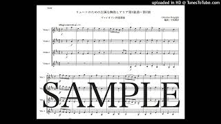 レスピーギ「リュートのための古風な舞曲とアリア第1組曲〜第2曲」ヴァイオリン四重奏版（編曲：中島雅彦）