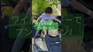 【夏の思い出】ワイルドバギーでブンブンブン！#ネスタリゾート神戸