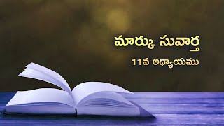 #Mark - Chapter 11 | మార్కు సువార్త - 11వ అధ్యాయము | Telugu Bible #VJEI