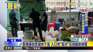 毒販養狐獴成警助手！蒐證1年破獲大型毒工廠@newsebc